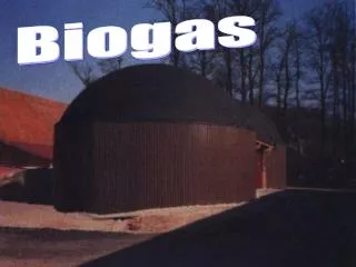 Biogas