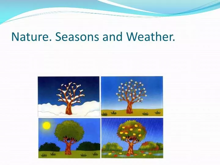 nature seasons and weather