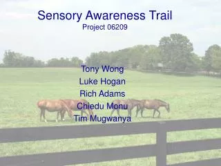 Sensory Awareness Trail Project 06209