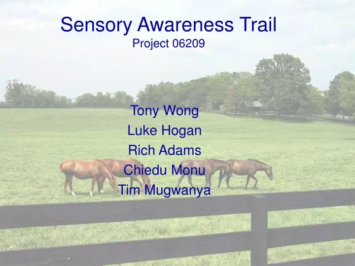 sensory awareness trail project 06209