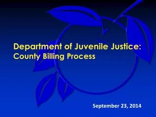 Department of Juvenile Justice: County Billing Process