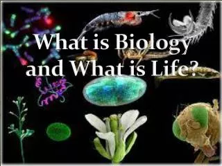 What is Biology and What is Life?