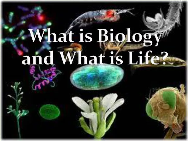 what is biology and what is life