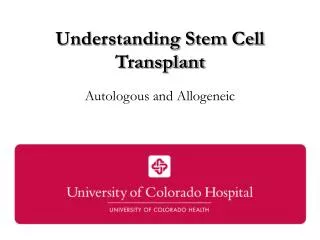 Understanding Stem Cell Transplant