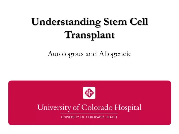 understanding stem cell transplant