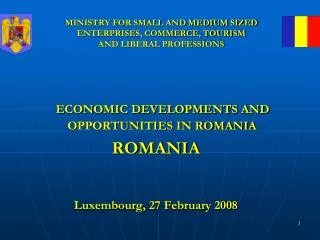 MINISTRY FOR SMALL AND MEDIUM SIZED ENTERPRISES, COMMERCE, TOURISM AND LIBERAL PROFESSIONS