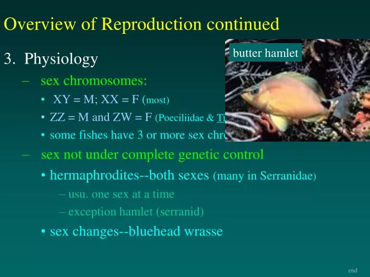 overview of reproduction continued