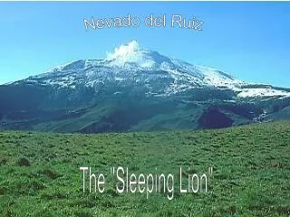 The &quot;Sleeping Lion&quot;