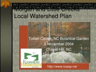 Morgan and Little Creeks Local Watershed Plan