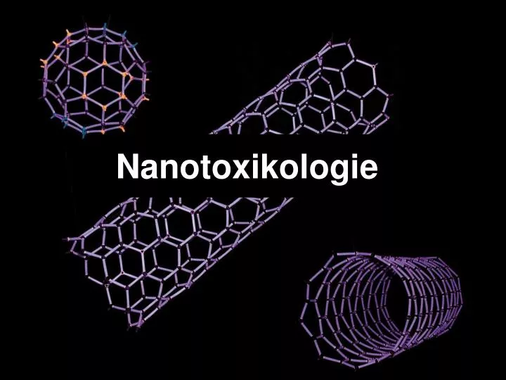 nanotoxikologie
