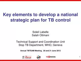 Key elements to develop a national strategic plan for TB control
