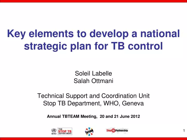 key elements to develop a national strategic plan for tb control