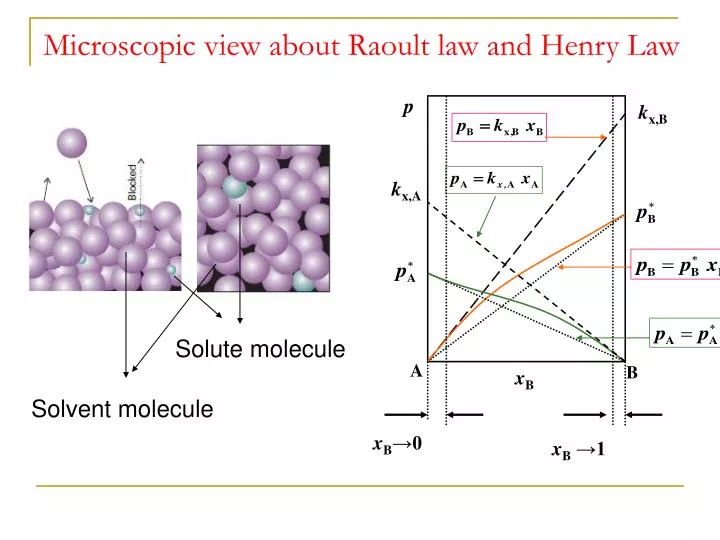 microscopic view about raoult law and henry law