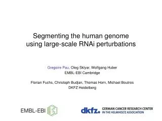 Segmenting the human genome using large-scale RNAi perturbations