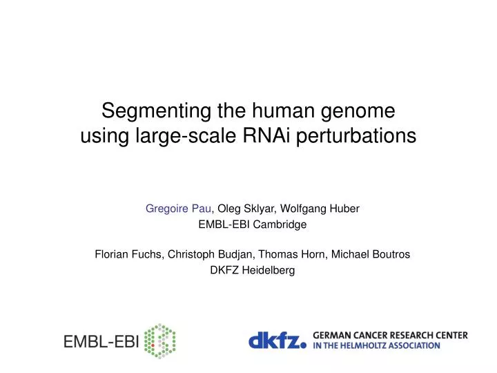 segmenting the human genome using large scale rnai perturbations
