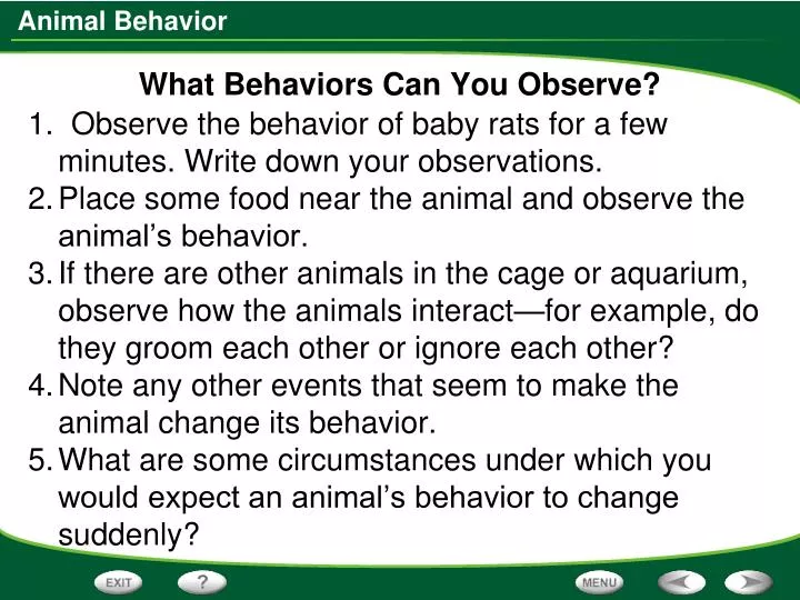 what behaviors can you observe