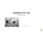 עץ הזית באמנות עיצוב: פאולה הפנר - slide 1