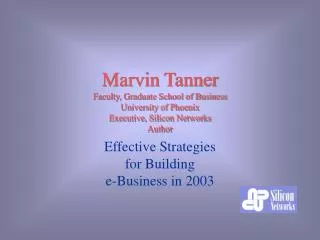 Effective Strategies for Building e-Business in 2003