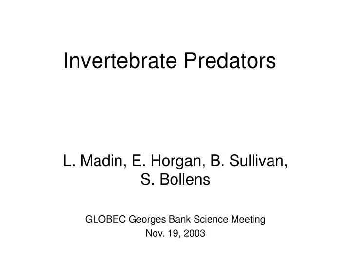 invertebrate predators