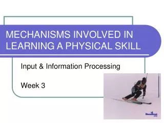 MECHANISMS INVOLVED IN LEARNING A PHYSICAL SKILL