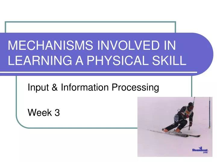 mechanisms involved in learning a physical skill