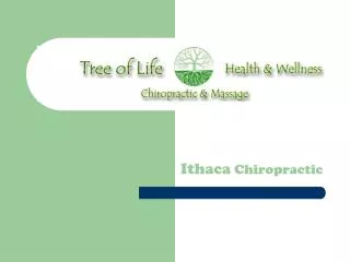 Chiropractor Ithaca Ny