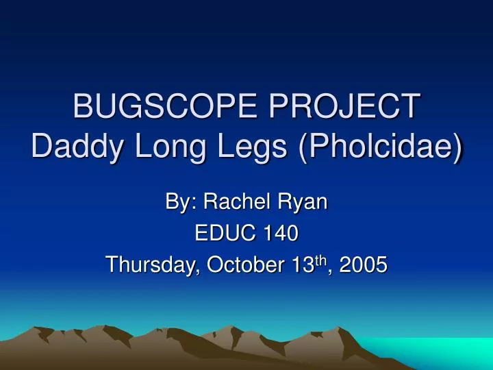 bugscope project daddy long legs pholcidae
