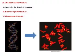 VII. DNA and Genome Structure A. Search for the Genetic Information