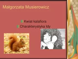 ma gorzata musierowicz