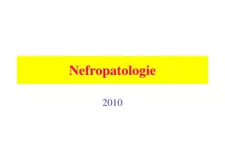 nefropatologie