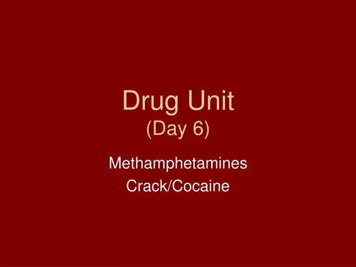 drug unit day 6