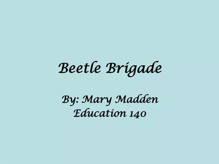 beetle brigade