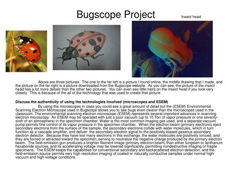 bugscope project