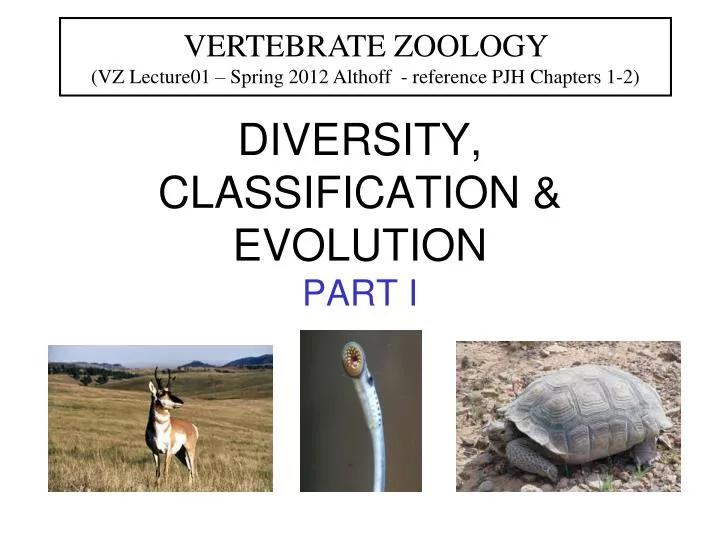 diversity classification evolution part i