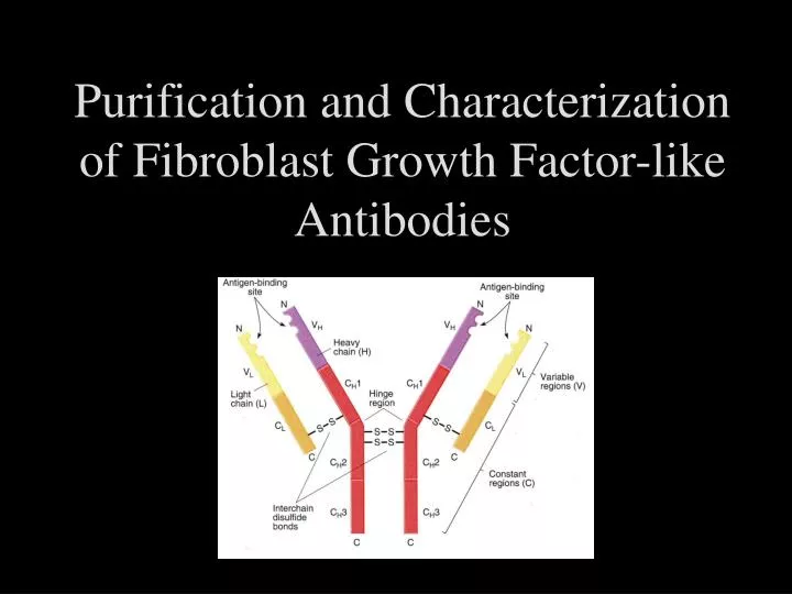 purification and characterization of fibroblast growth factor like antibodies