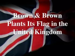 Brown &amp; Brown Plants Its Flag in the United Kingdom