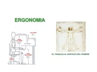 ergonomia