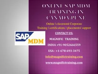 online sap mdm training canada,pune