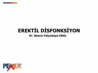 erekt l d sfonks yon