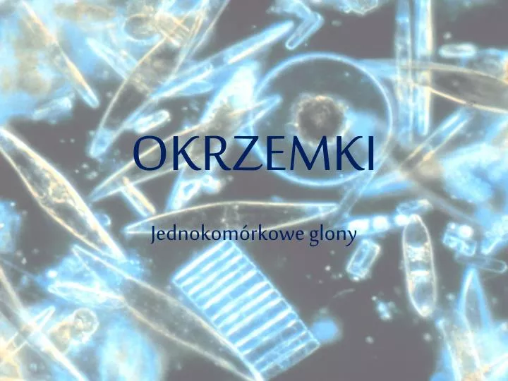 okrzemki