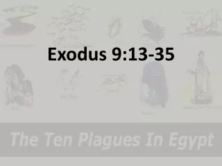 Exodus 9:13-35