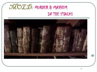 MOLD: MURDER &amp; MAYHEM 				IN THE STACKS