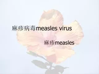 measles virus