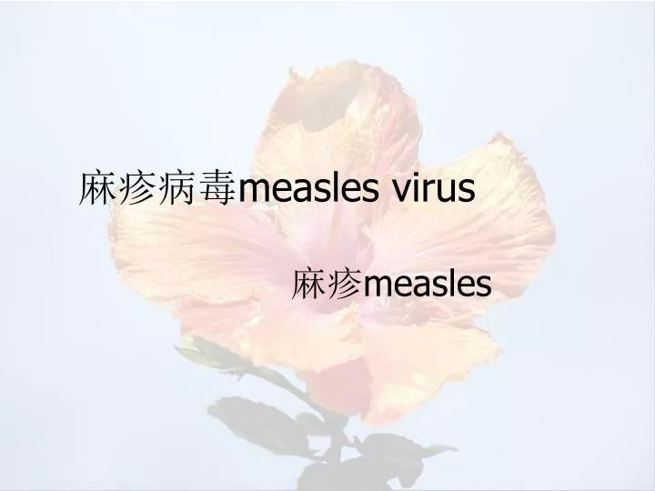 measles virus