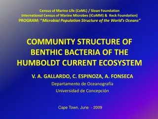 COMMUNITY STRUCTURE OF BENTHIC BACTERIA OF THE HUMBOLDT CURRENT ECOSYSTEM