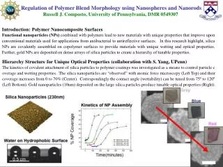 Introduction: Polymer Nanocomposite Surfaces