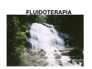 fluidoterapia