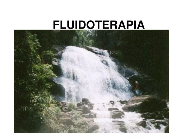 fluidoterapia