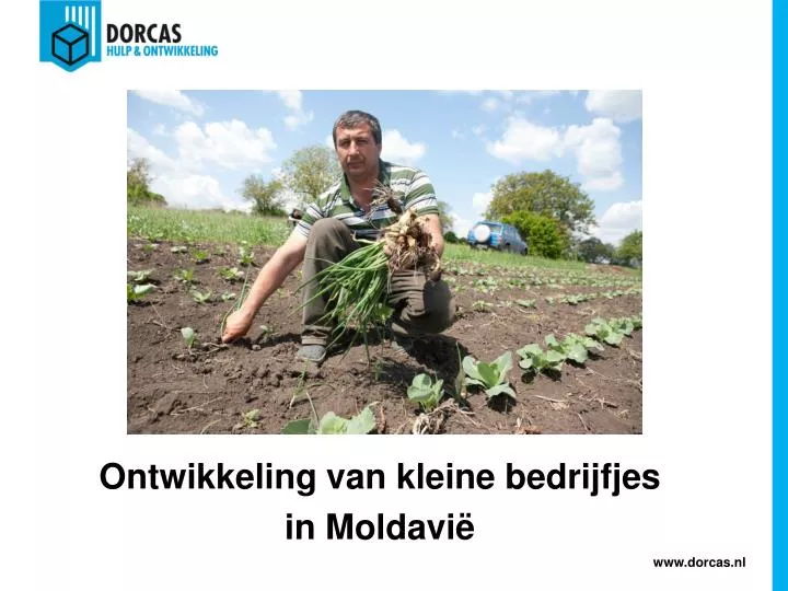 ontwikkeling van kleine bedrijfjes in moldavi