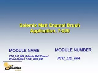 Selemix Matt Enamel Brush Application, 7-020
